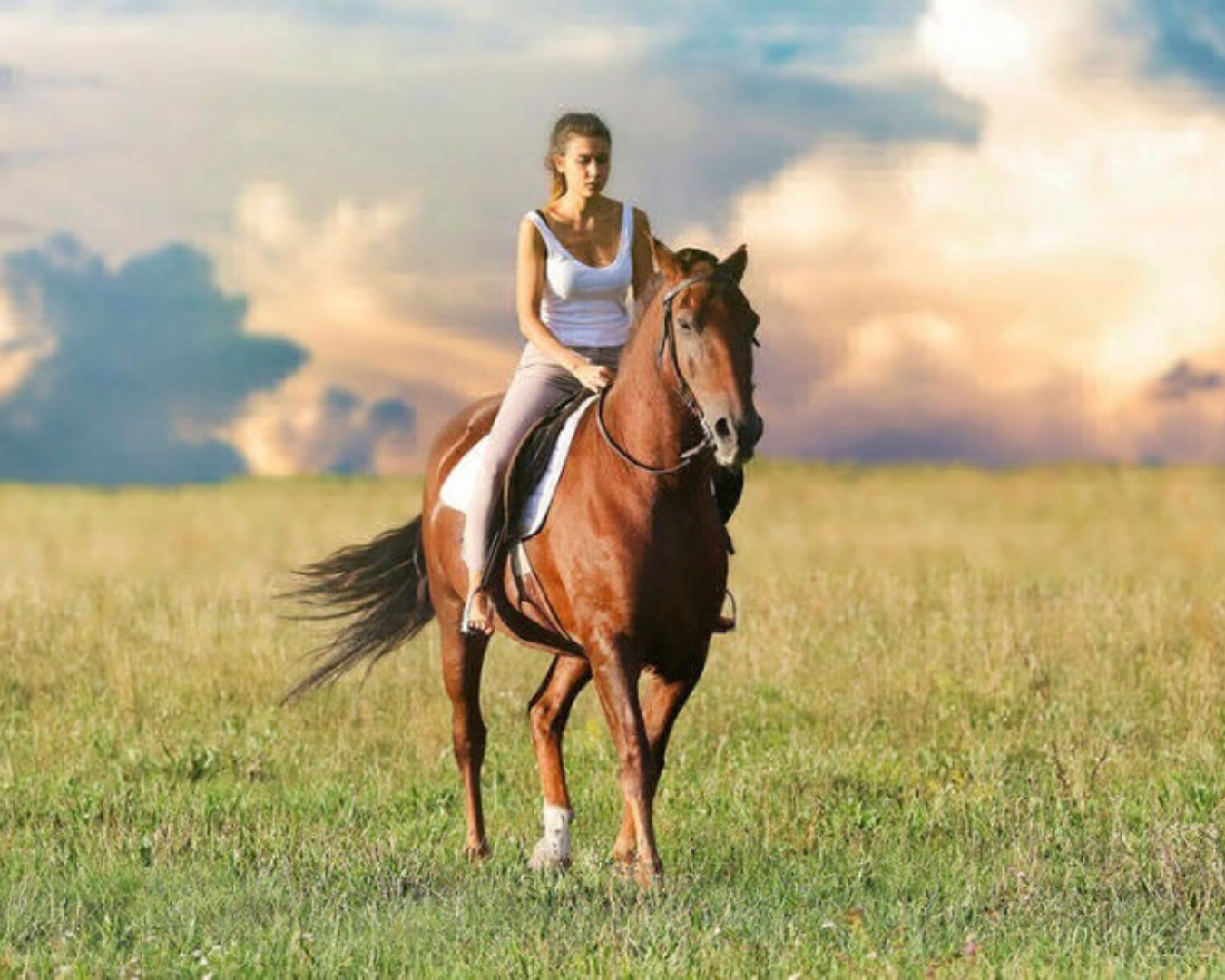 Escursioni a Cavallo