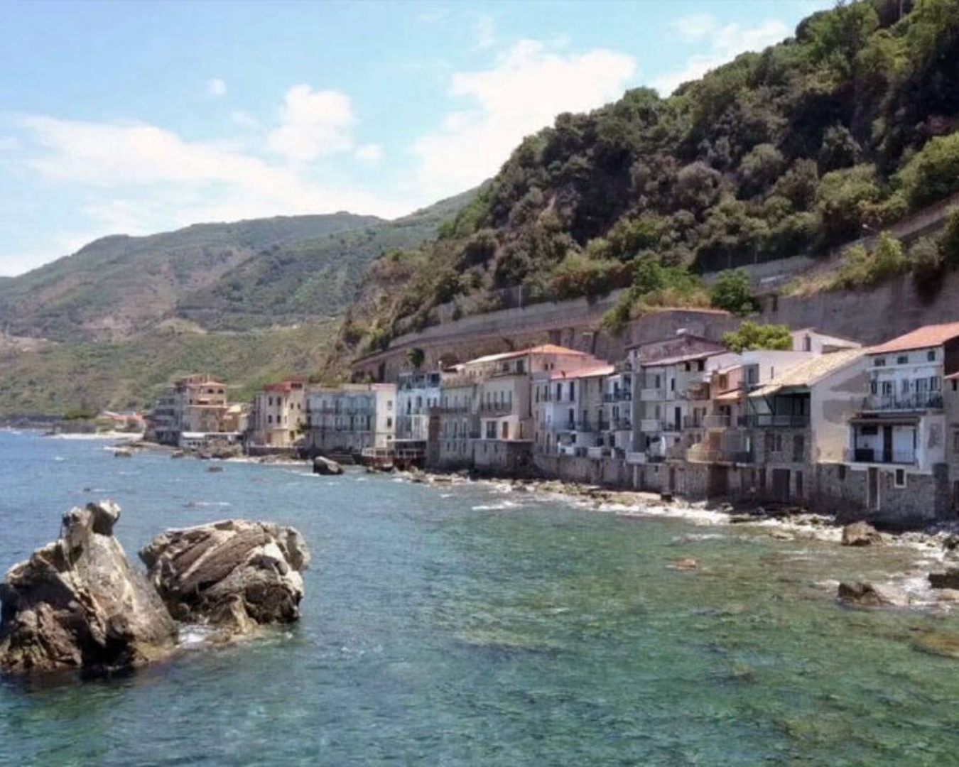 Scilla borgo
